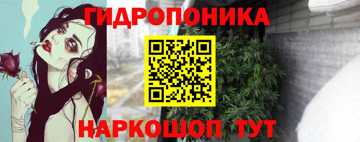 Конопля тримм  Чапаевск  Шишки марихуана Amnesia  Бошки марихуана планчик  Каннабис OG Kush 